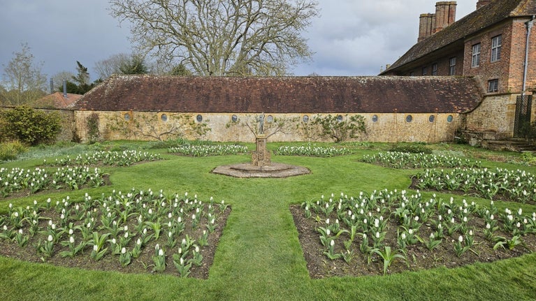 Barrington Court White garden with spring tulips Jemma Marsh